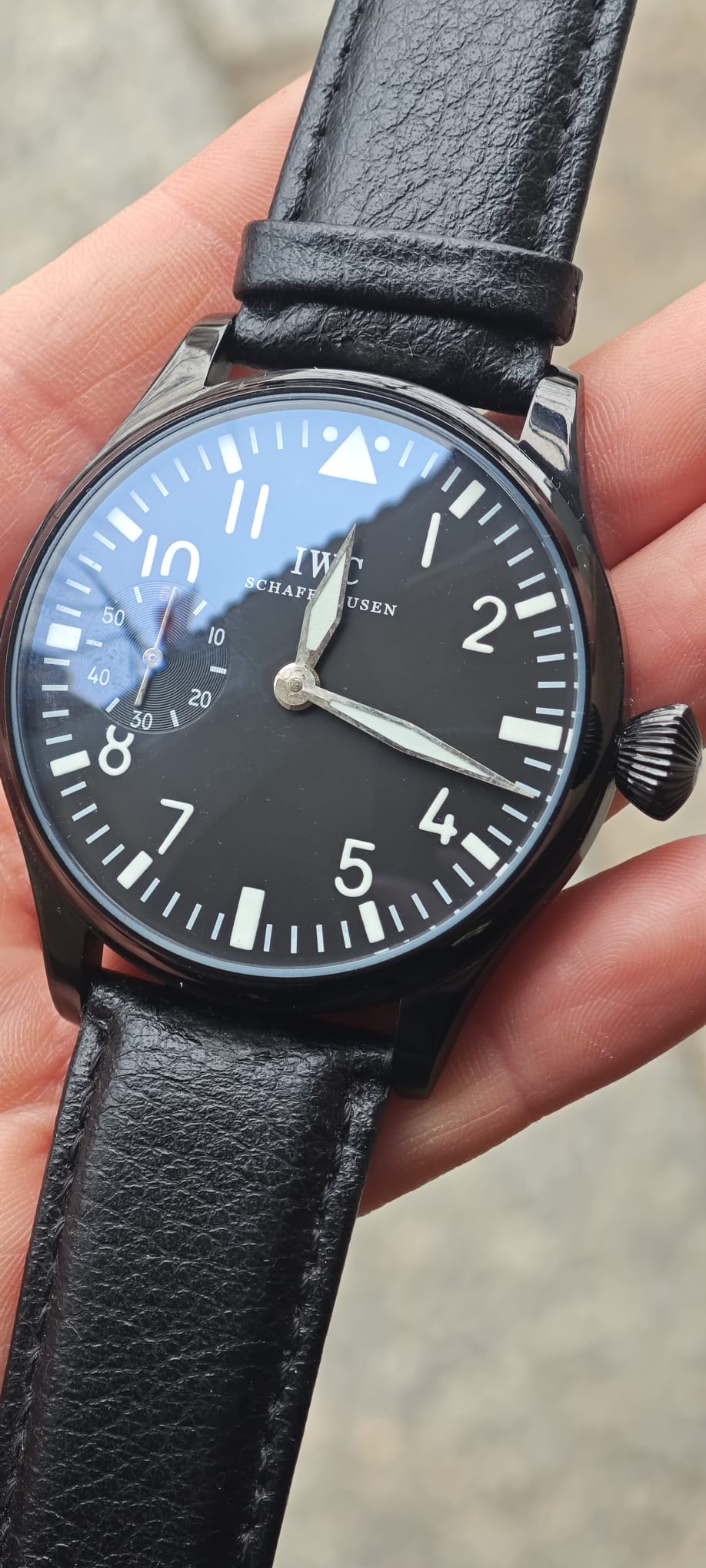 Iwc Pasówka - obrazek 3