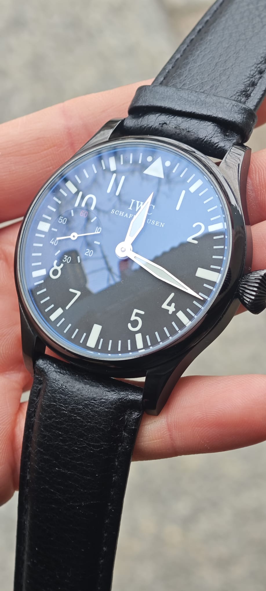 Iwc Pasówka - obrazek 5