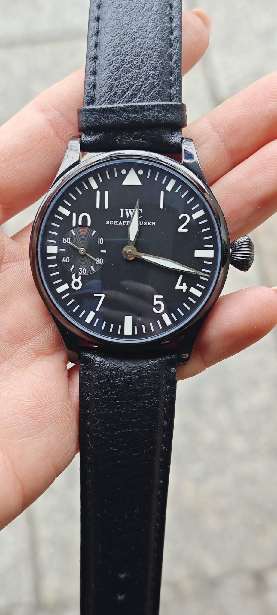Iwc Pasówka - obrazek 6