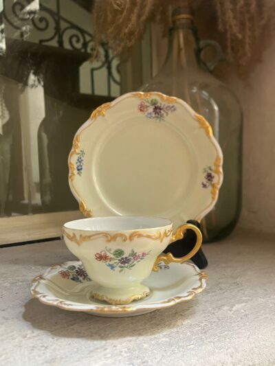Filiżanka Trio Rosenthal – ręcznie malowana nr 1