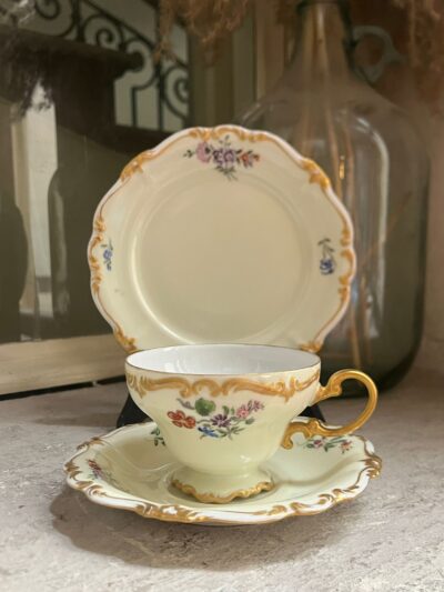 Filiżanka Trio Rosenthal – ręcznie malowana nr 3