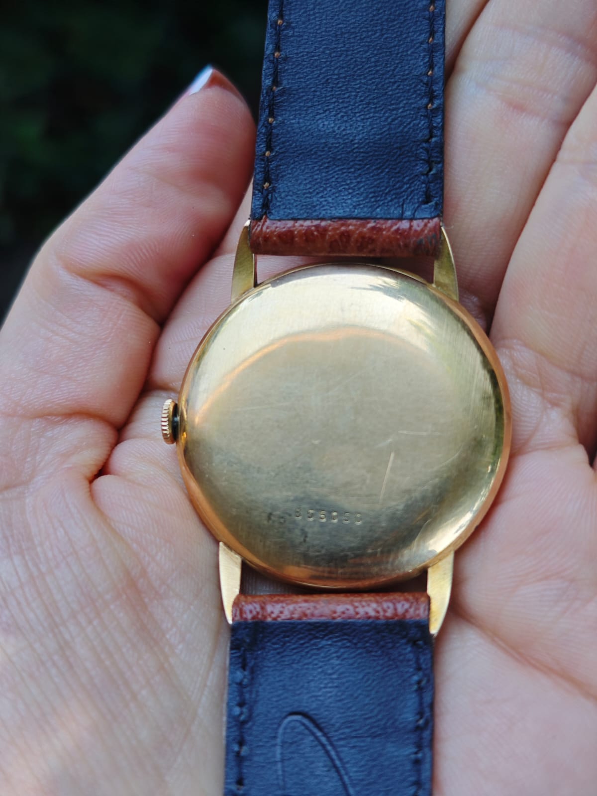Doxa złota - obrazek 6